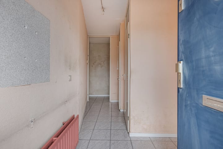 Foto 12 van Griend 41 24