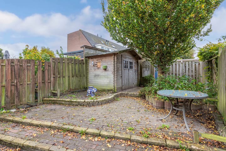 Foto 38 van Griend 41 24