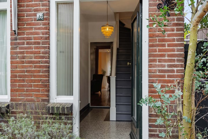 Photo 3 of Theresialaan 103