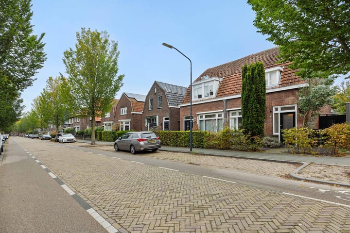 Photo 36 of Theresialaan 103