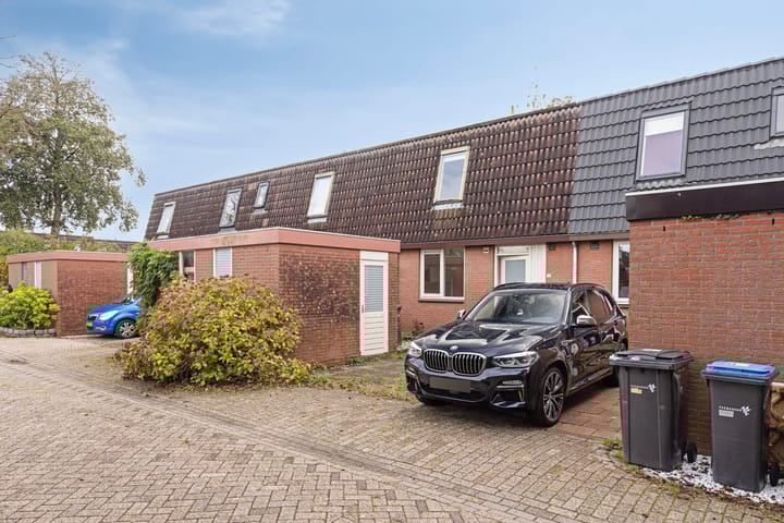 Foto 6 van Pluimgras 10