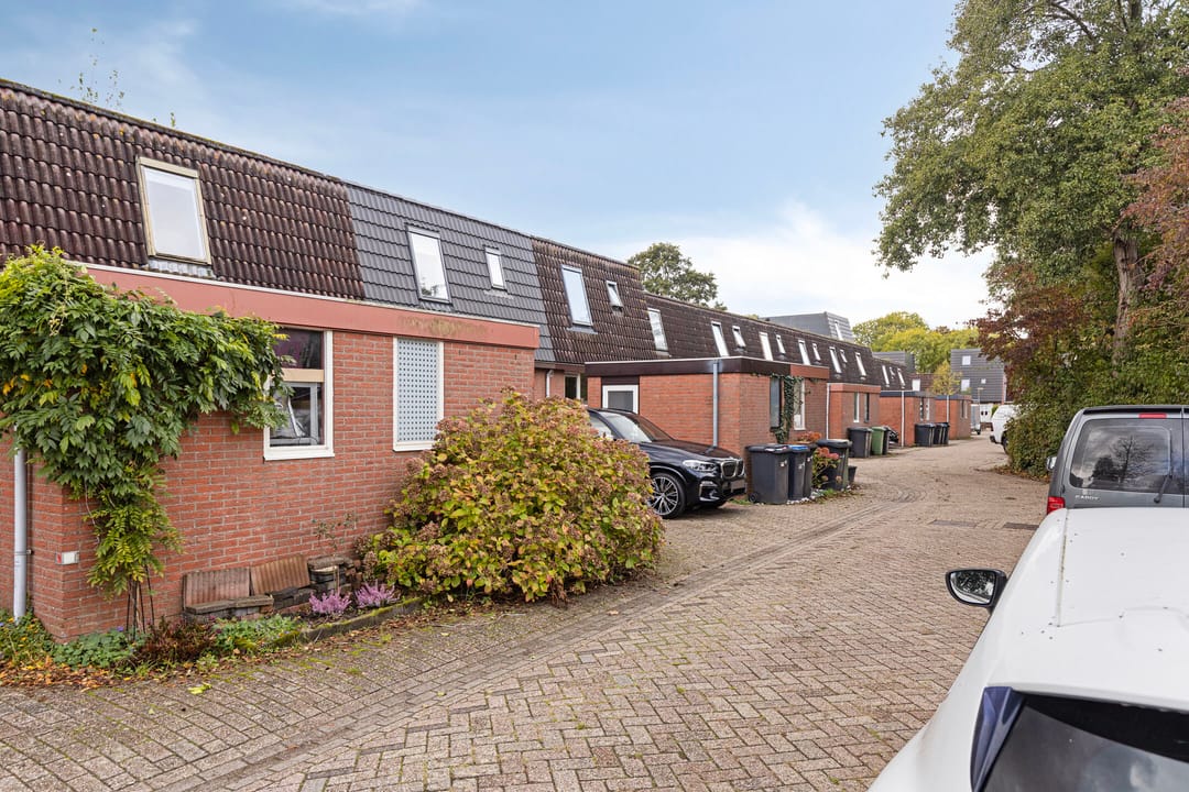 Foto 31 van Pluimgras 10