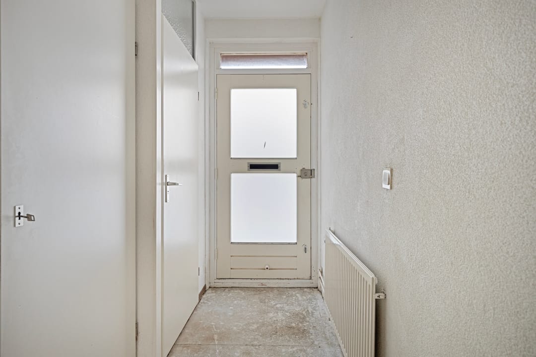 Foto 7 van Pluimgras 10