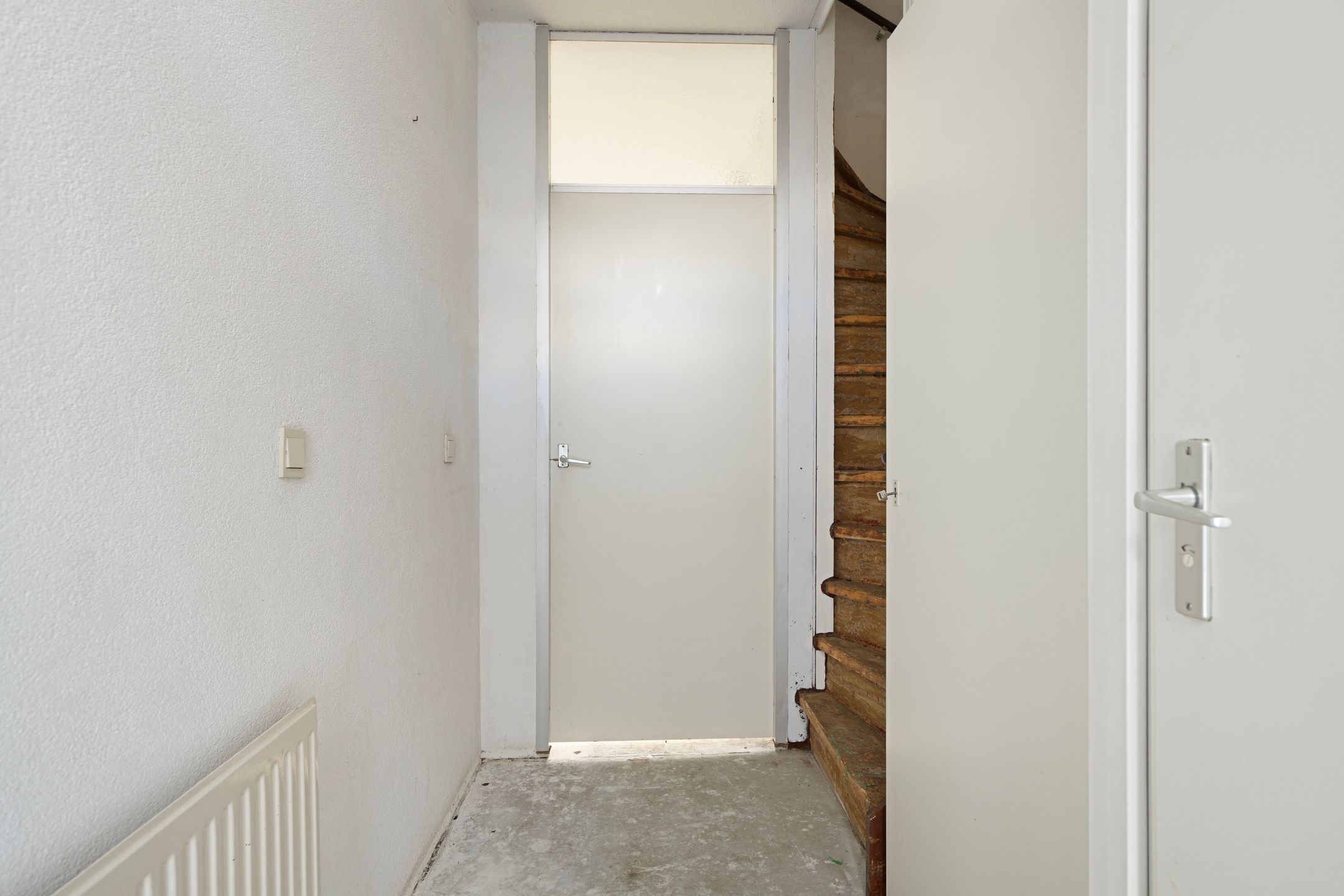 Foto 9 van Pluimgras 10