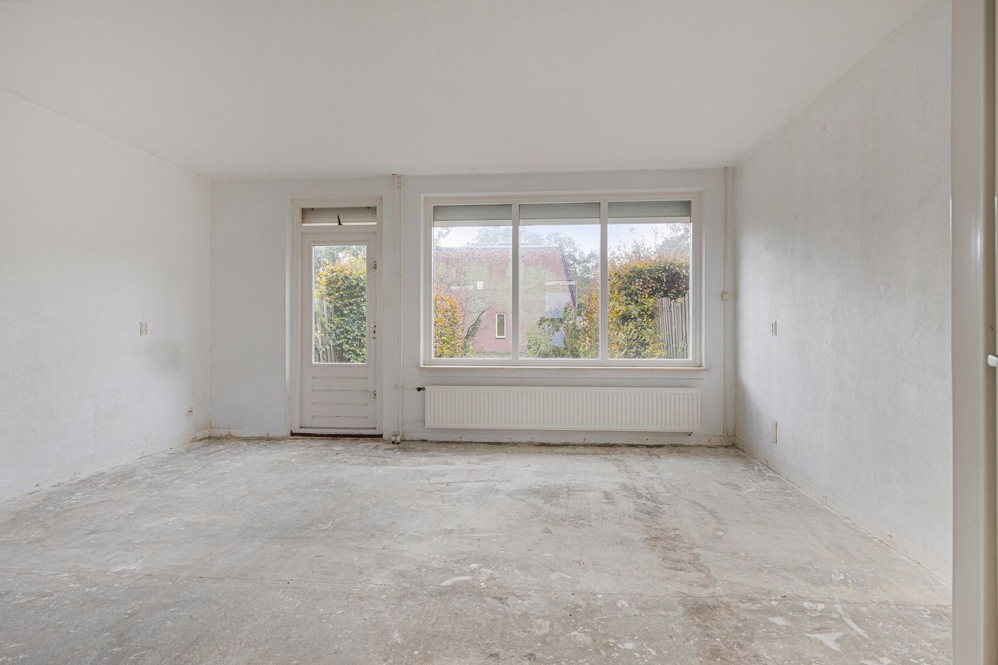 Foto 10 van Pluimgras 10