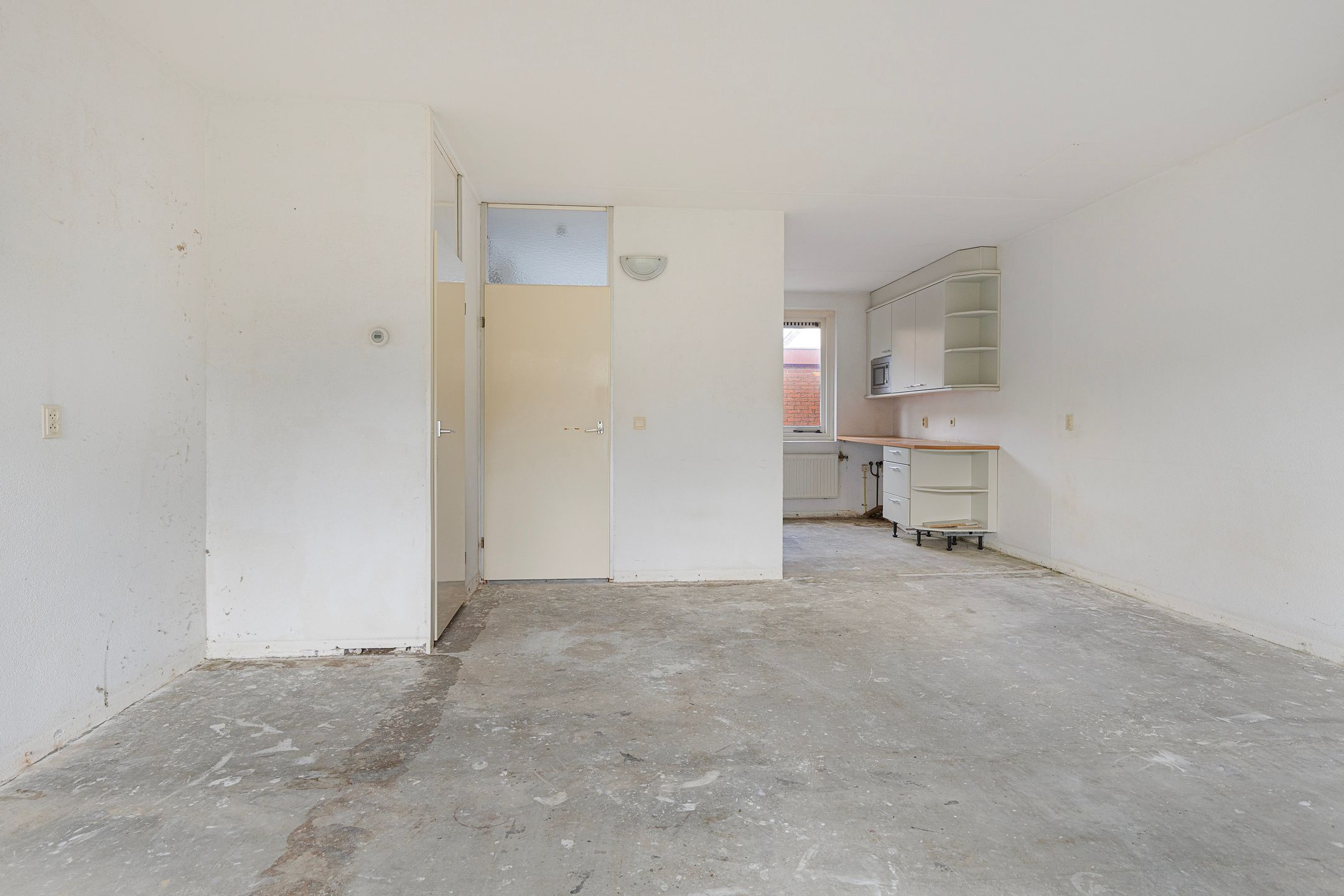 Foto 12 van Pluimgras 10