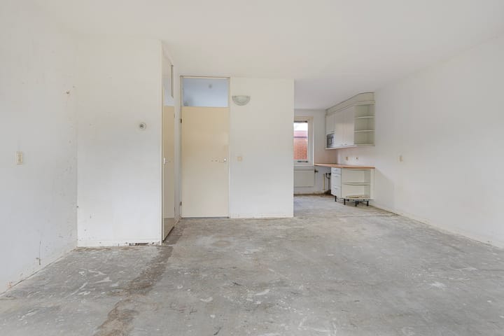 Foto 12 van Pluimgras 10