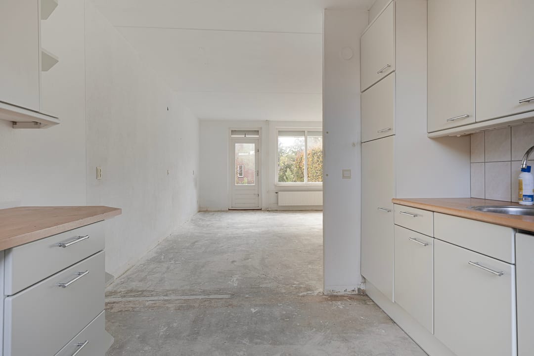 Foto 16 van Pluimgras 10