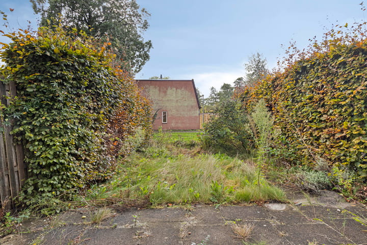 Foto 27 van Pluimgras 10