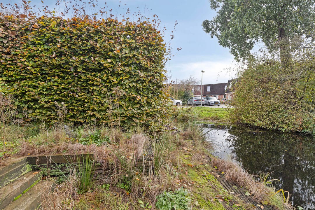 Foto 28 van Pluimgras 10