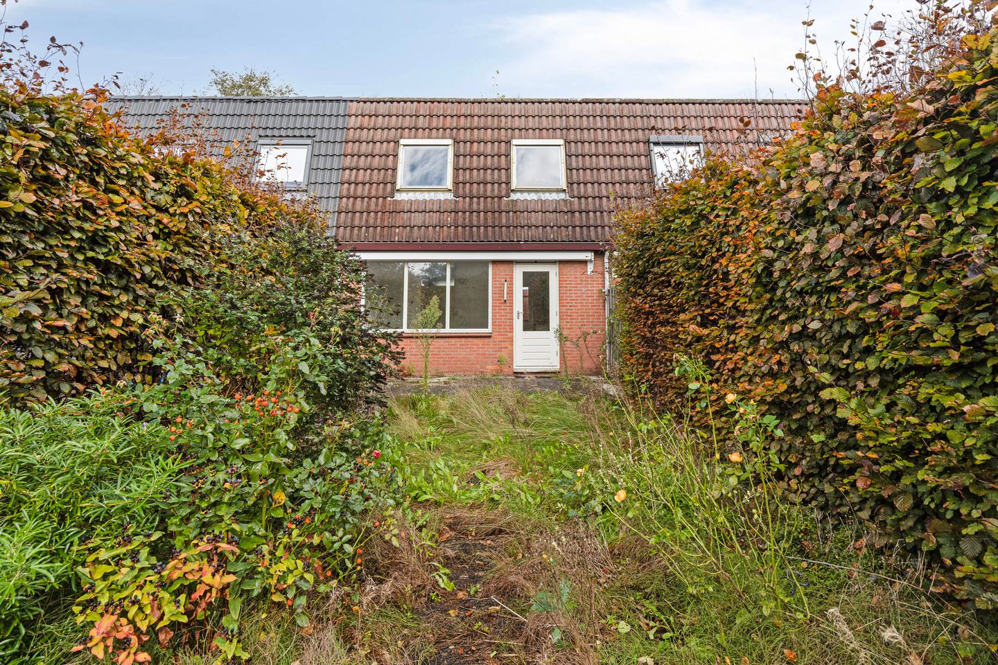 Foto 29 van Pluimgras 10