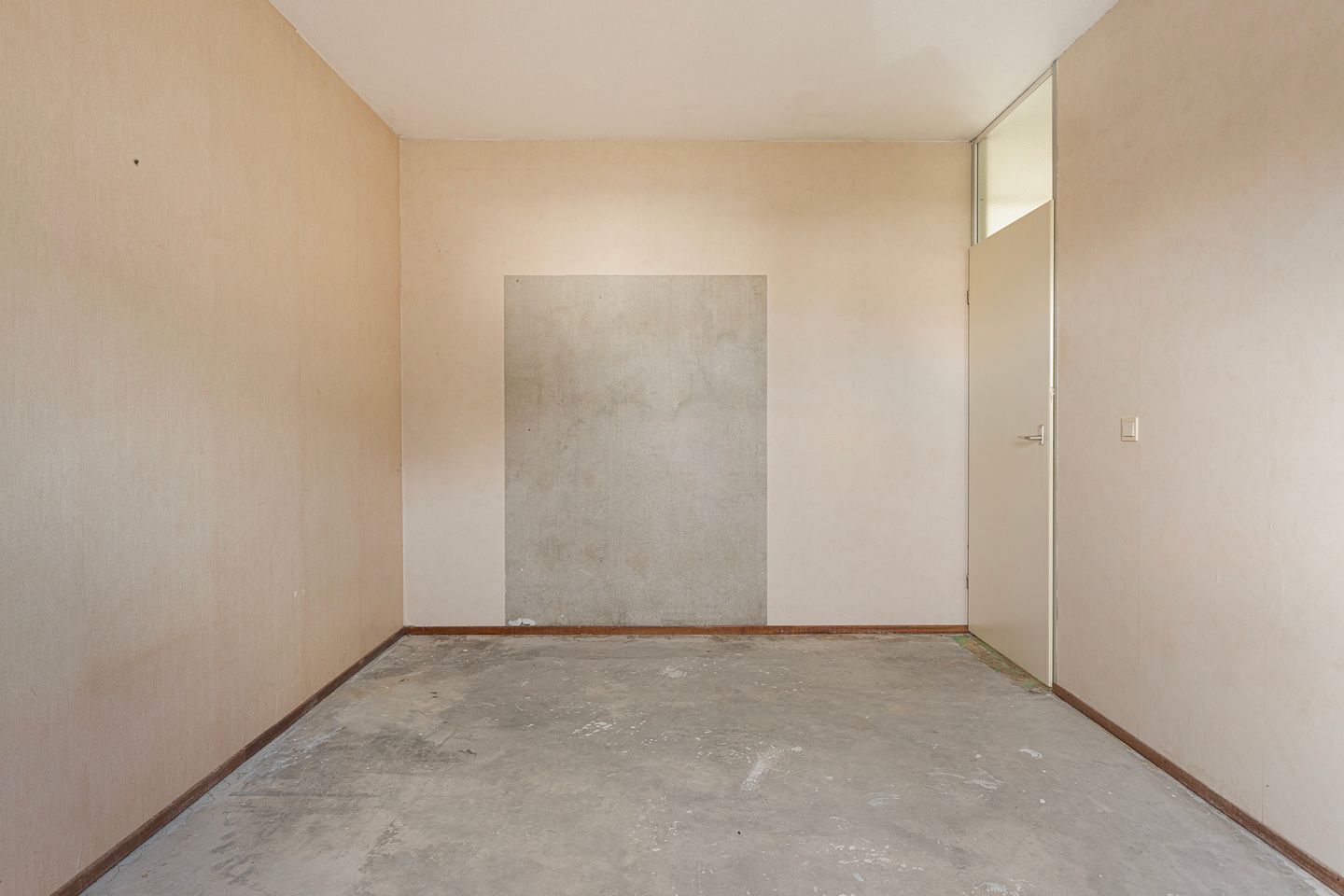 Foto 20 van Pluimgras 10