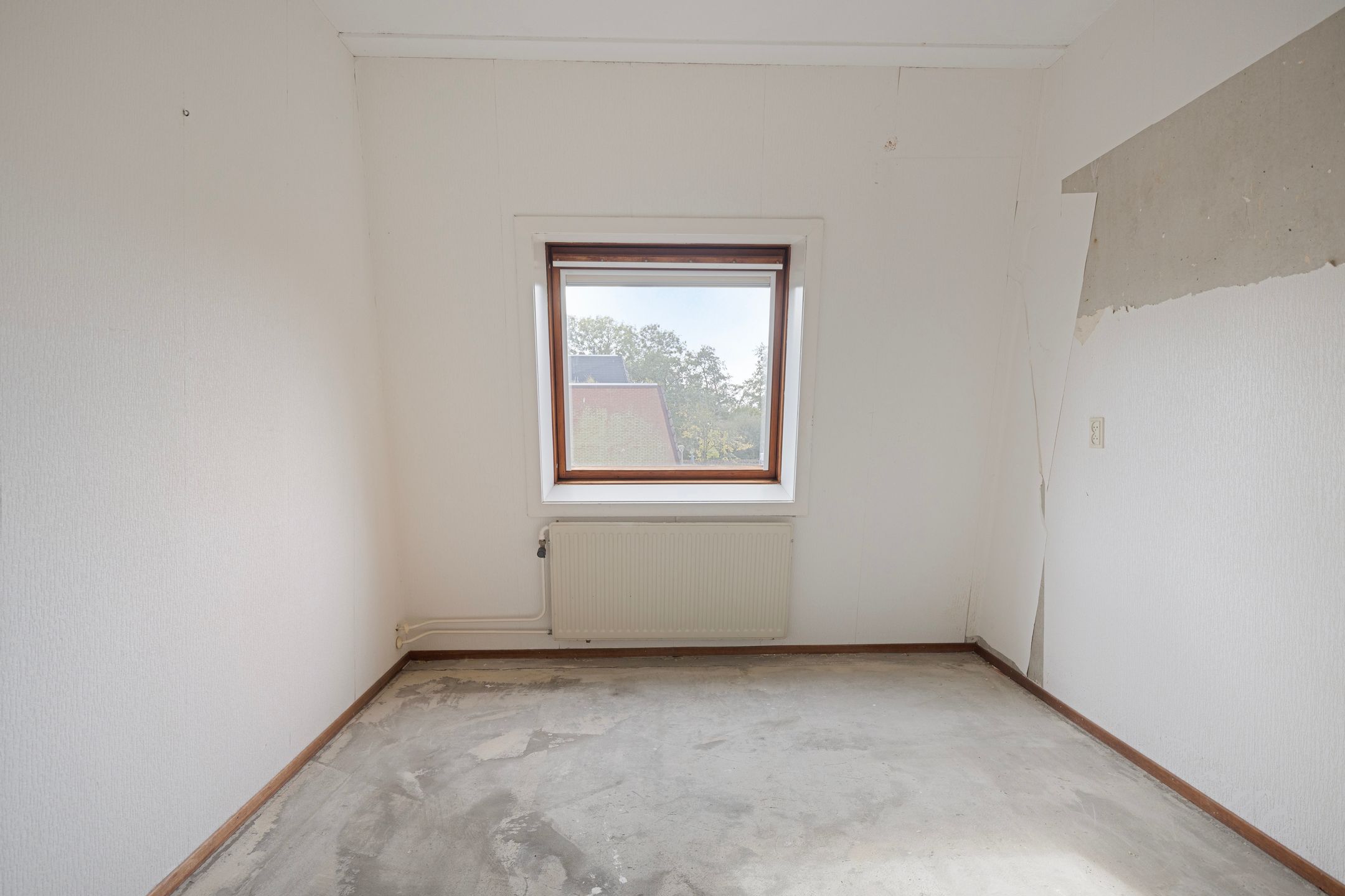 Foto 21 van Pluimgras 10