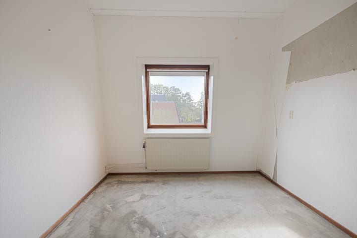 Foto 21 van Pluimgras 10