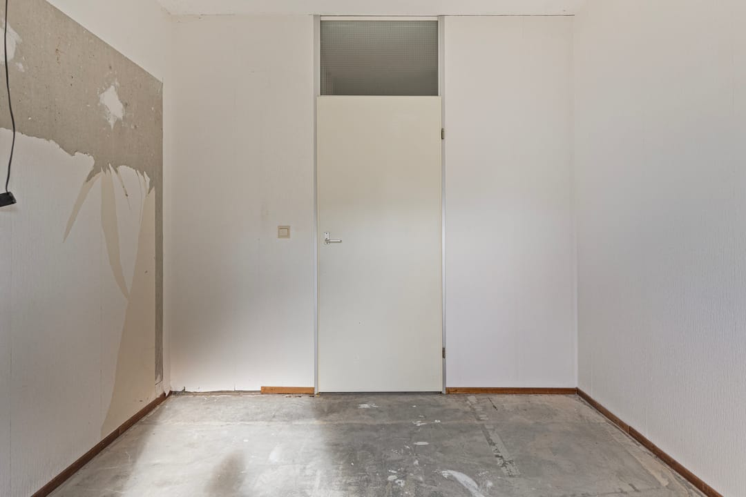 Foto 22 van Pluimgras 10