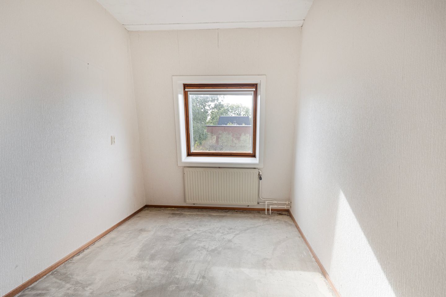 Foto 25 van Pluimgras 10