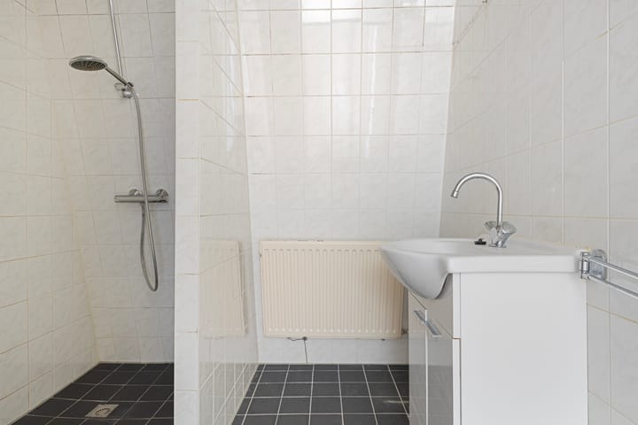 Foto 23 van Pluimgras 10