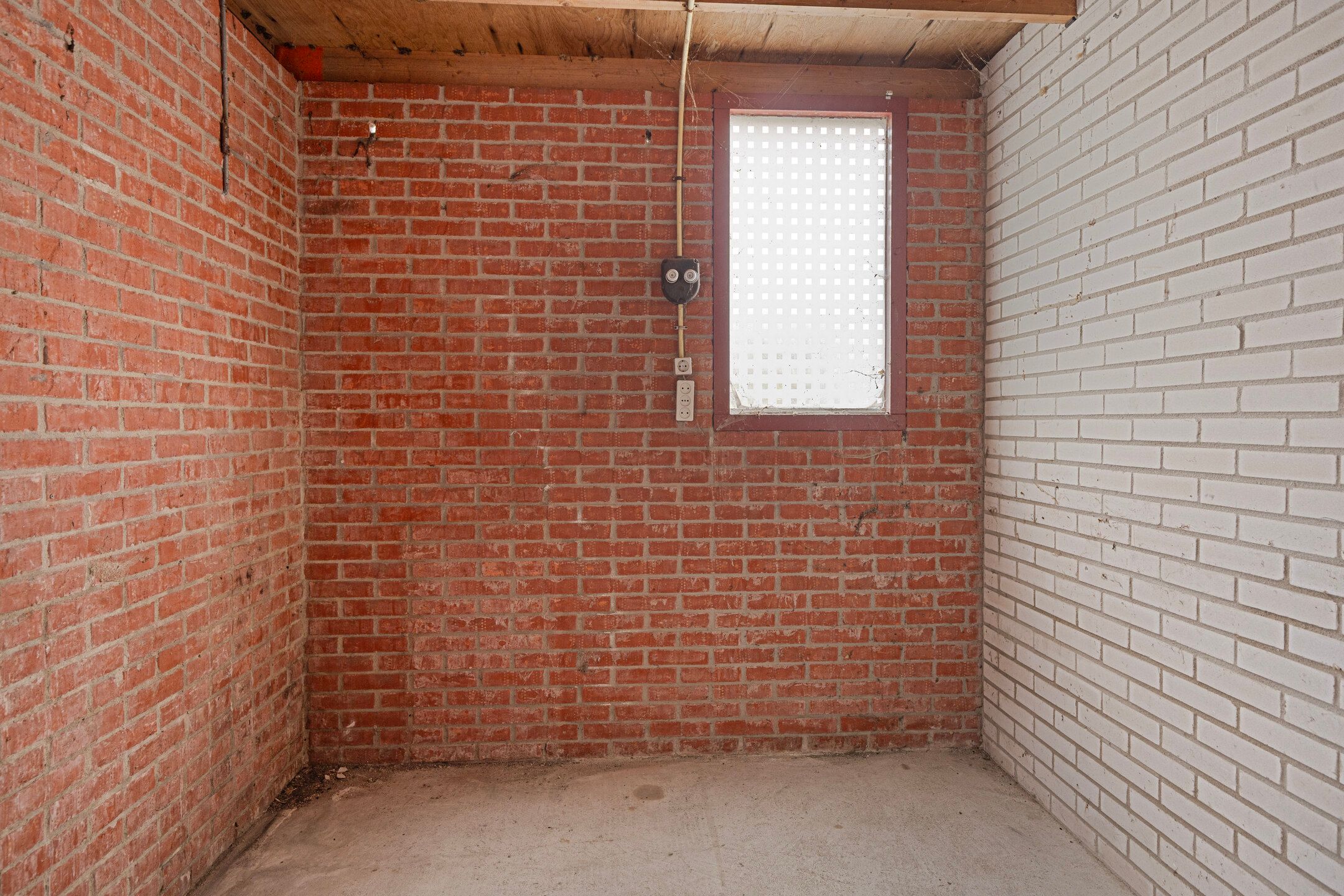 Foto 30 van Pluimgras 10