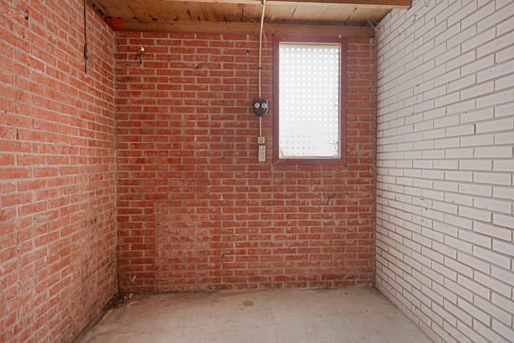 Foto 30 van Pluimgras 10