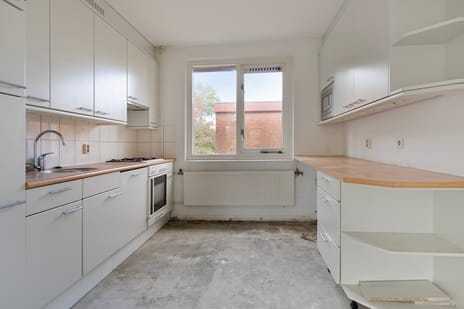 Pluimgras 10 tertiary image