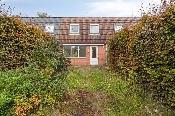 Foto 5 van Pluimgras 10