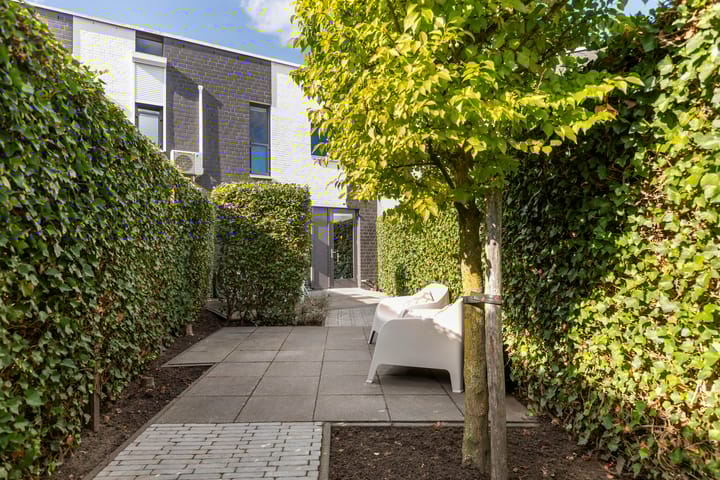 Photo 5 of Vuurvlinder 30