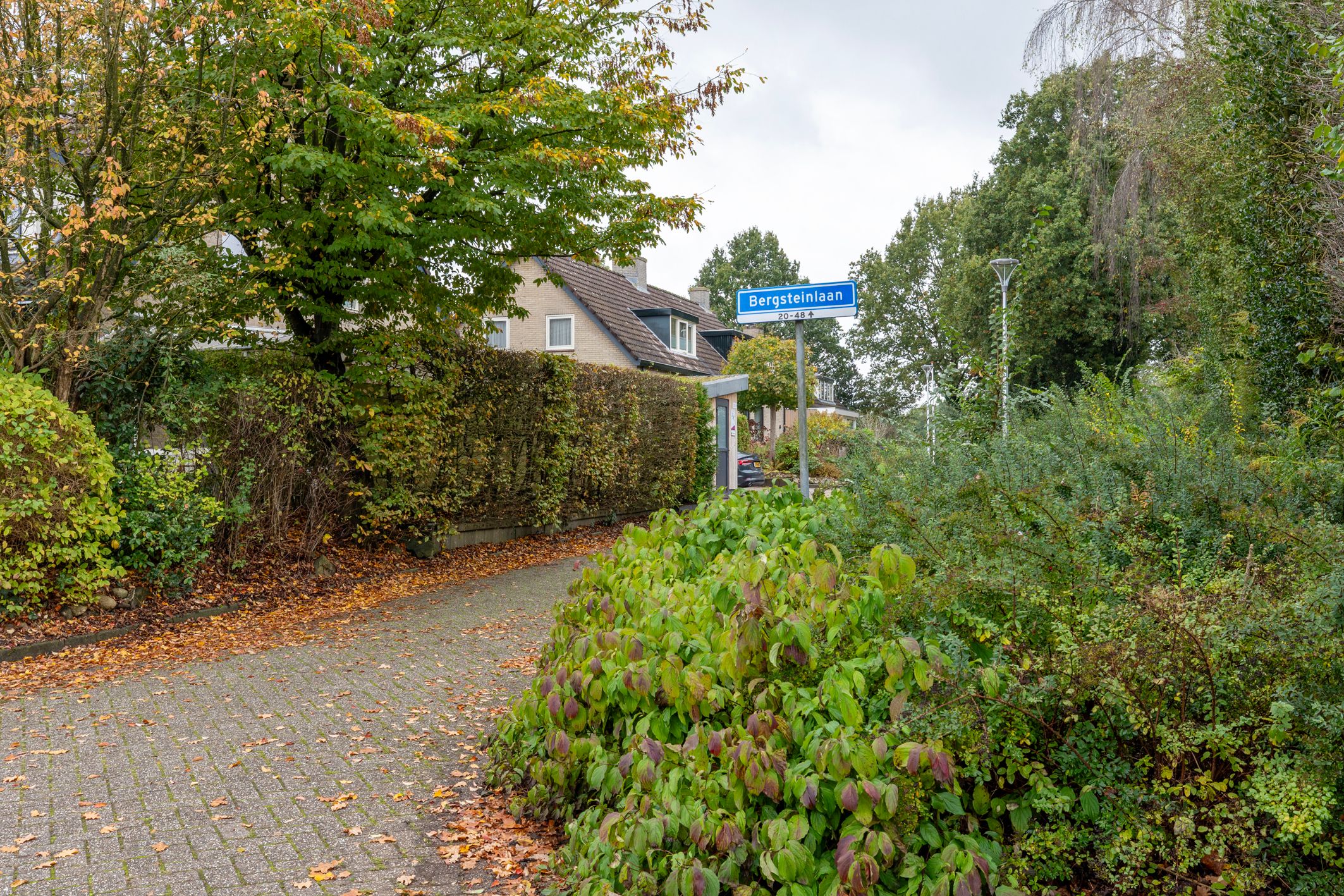 Foto 51 van Bergsteinlaan 48