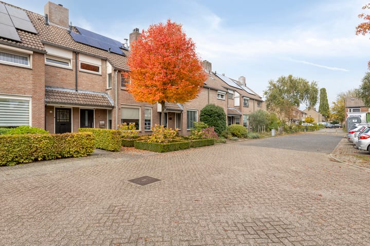 Foto 3 van Zonnedauw 17