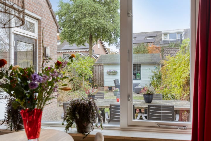 Foto 13 van Zonnedauw 17