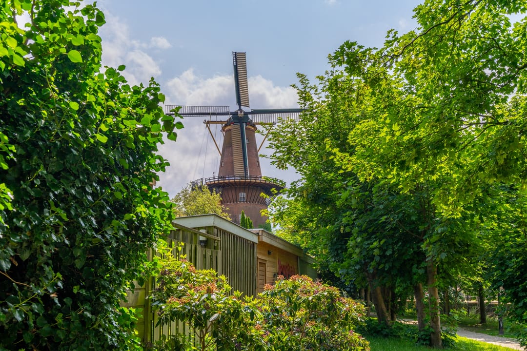 Foto 23 van Gruttersdijk 34-C