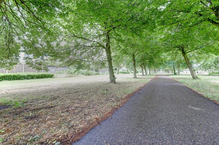 Photo 44 of Lagune 19