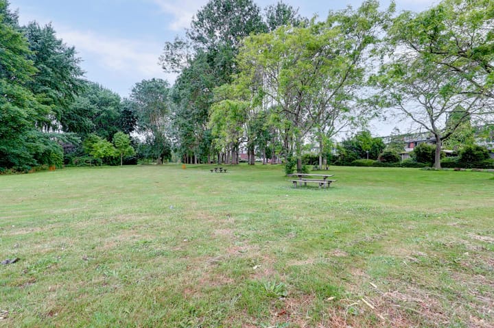 Photo 48 of Lagune 19