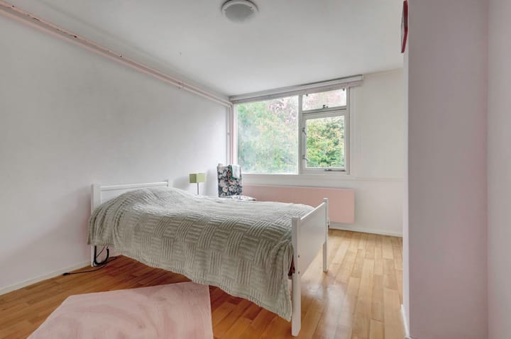 Photo 23 of Lagune 19