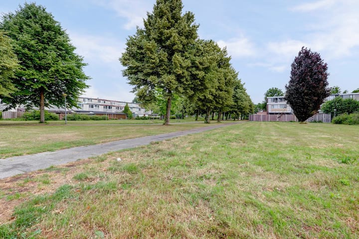 Photo 41 of Lagune 19