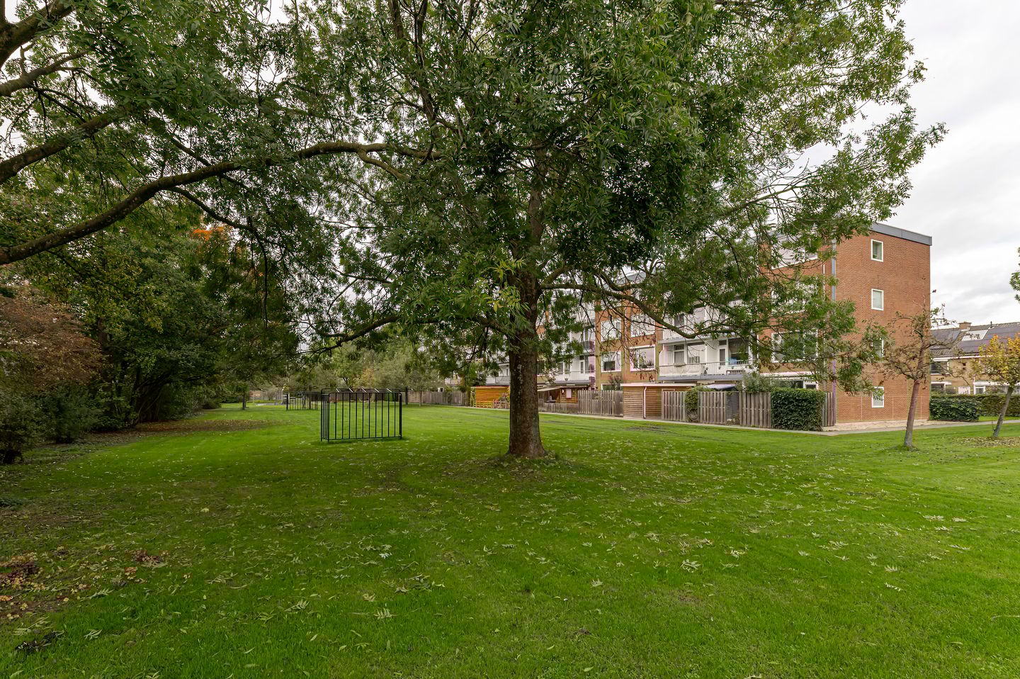 Foto 4 van Ravelijnstraat 81