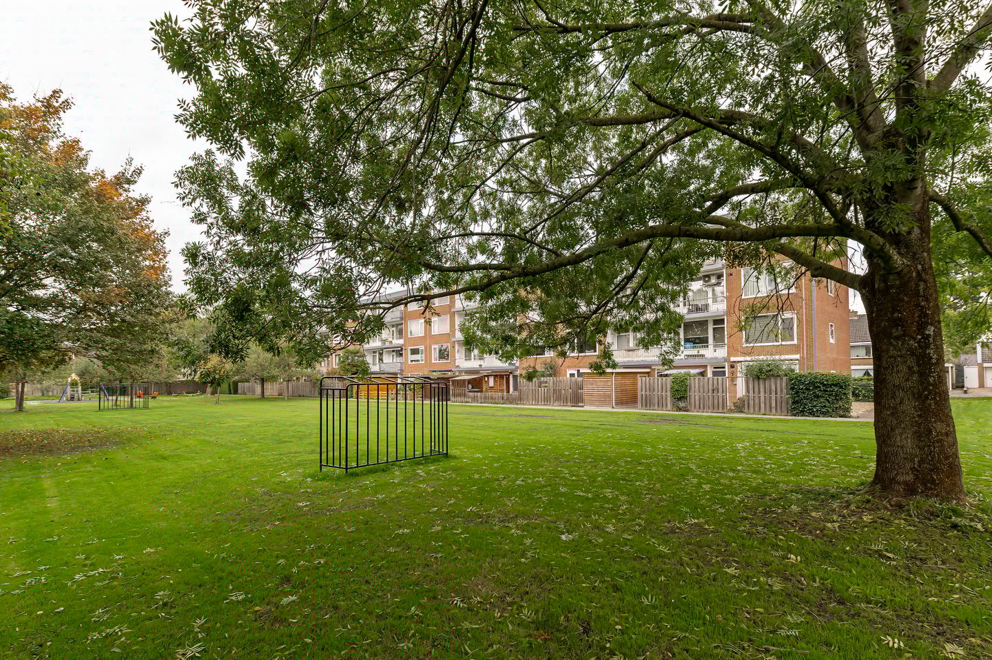 Foto 29 van Ravelijnstraat 81