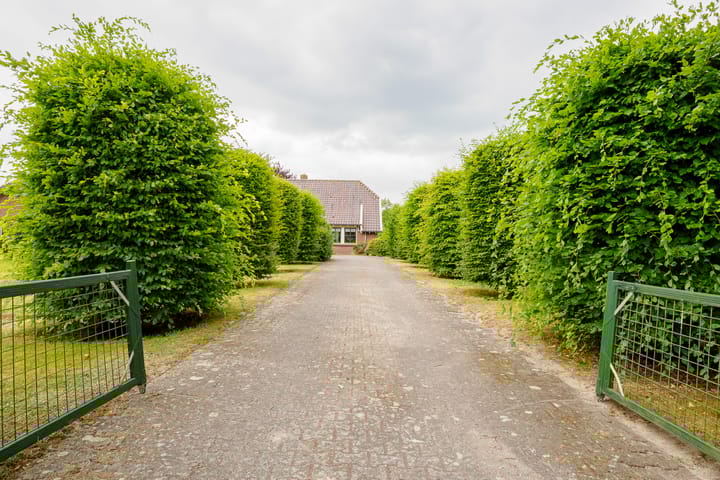 Foto 4 van Dalkruid 14