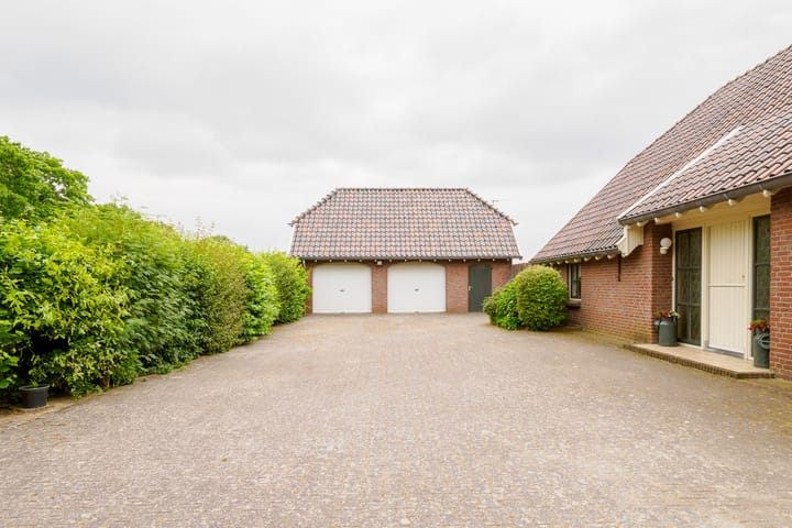 Foto 6 van Dalkruid 14