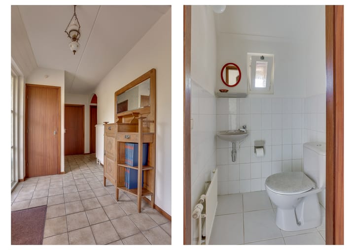 Foto 9 van Dalkruid 14