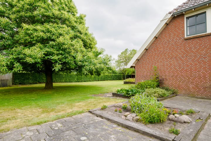 Foto 37 van Dalkruid 14