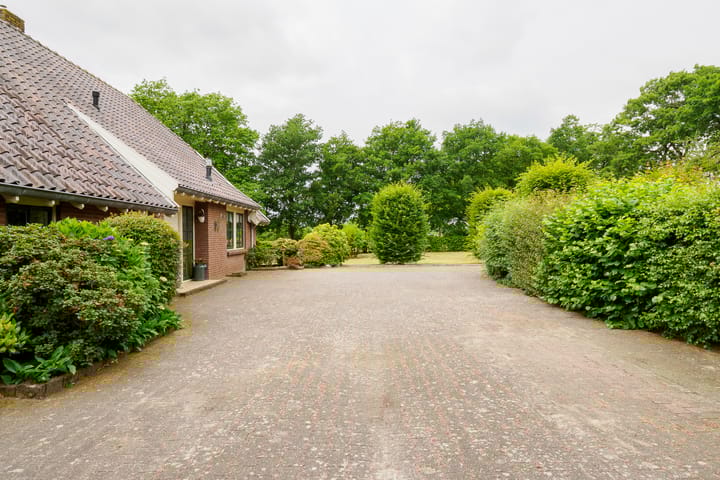 Foto 41 van Dalkruid 14