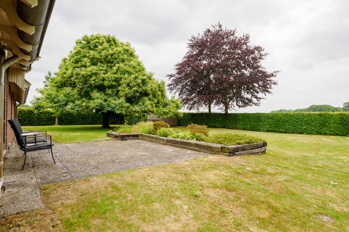 Foto 46 van Dalkruid 14