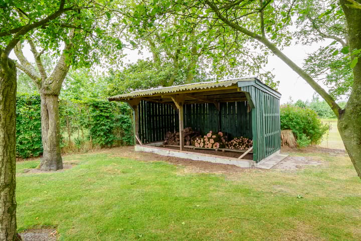 Foto 47 van Dalkruid 14