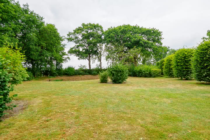 Foto 48 van Dalkruid 14