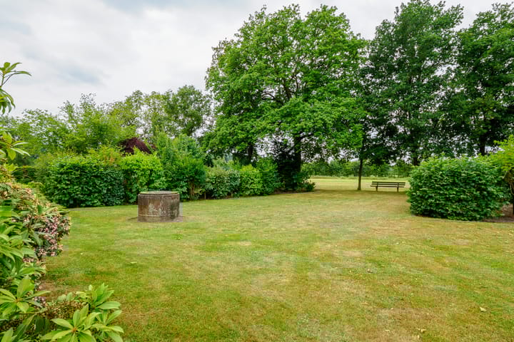 Foto 49 van Dalkruid 14