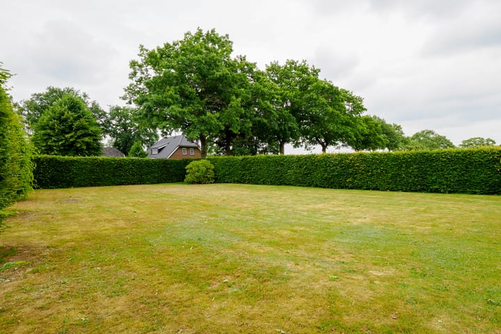 Foto 51 van Dalkruid 14