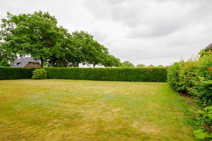 Foto 52 van Dalkruid 14