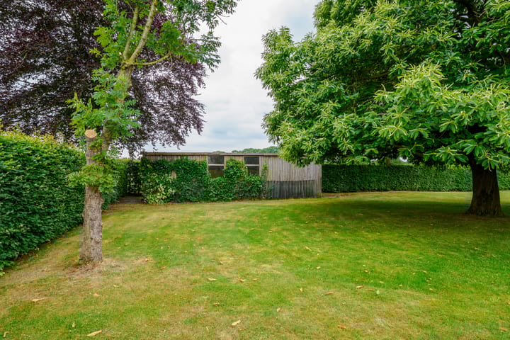 Foto 55 van Dalkruid 14