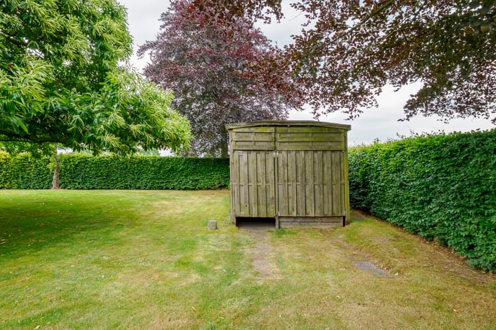 Foto 56 van Dalkruid 14