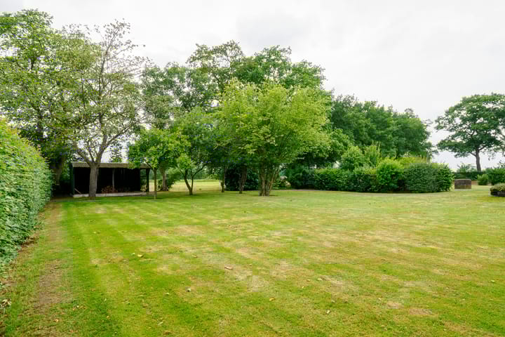 Foto 58 van Dalkruid 14